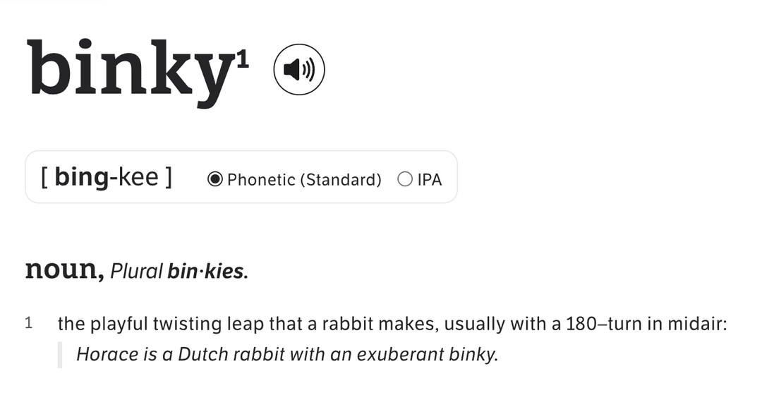 Binky is when a bunny hops with joy!